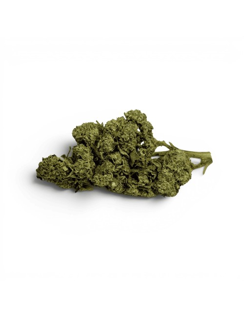 Fleur de CBD White Dawg Indoor
