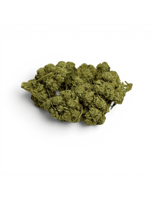 Fleur de CBD White Dawg Indoor