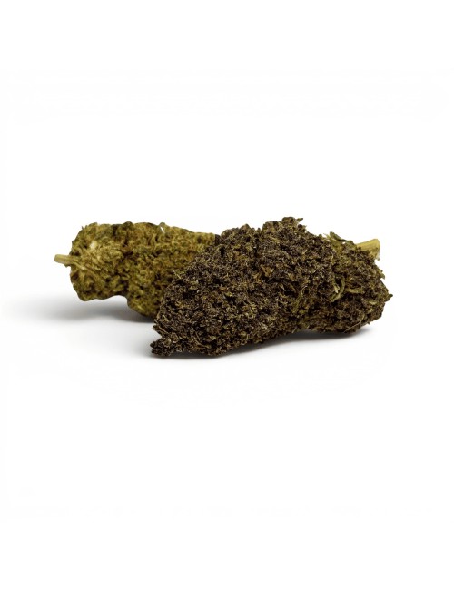 Fleur Purple Haze CBDX (CBD Xtrem) Indoor 20%