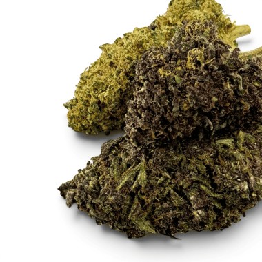 Fleur Purple Haze CBDX (CBD Xtrem) Indoor 20%