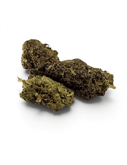 Fleur Purple Haze CBDX (CBD Xtrem) Indoor 20%