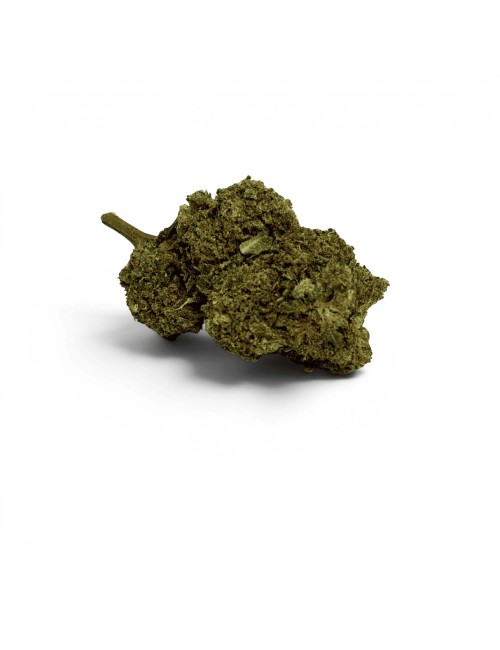 Fleur Candy Kush CBDX (CBD Xtrem) Greenhouse 20%