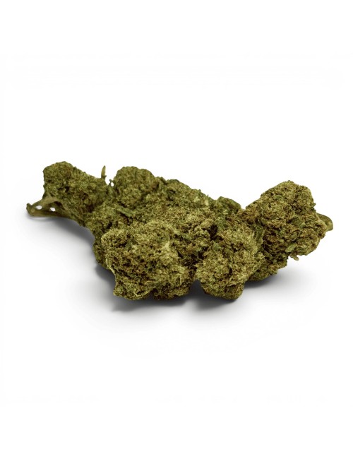 Fleur Candy Kush CBDX (CBD Xtrem) Greenhouse 20%