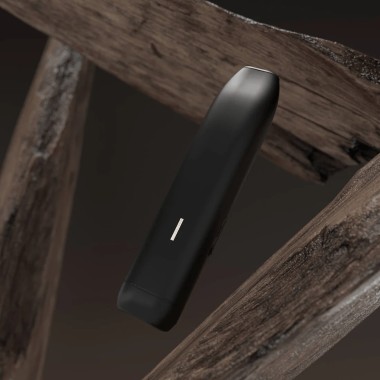 Vaporisateur d'herbes Iven E10 à convection