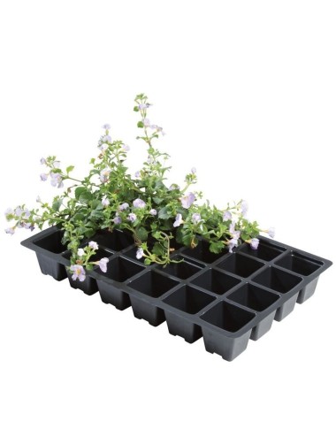 Professionelle Einsätze 24 Zellen (5er-Pack)