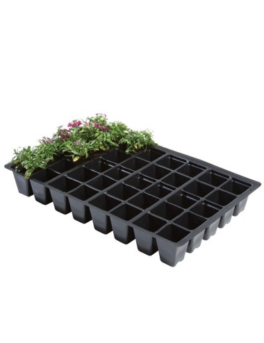 Professionelle Einsätze 40 Zellen (5er-Pack)