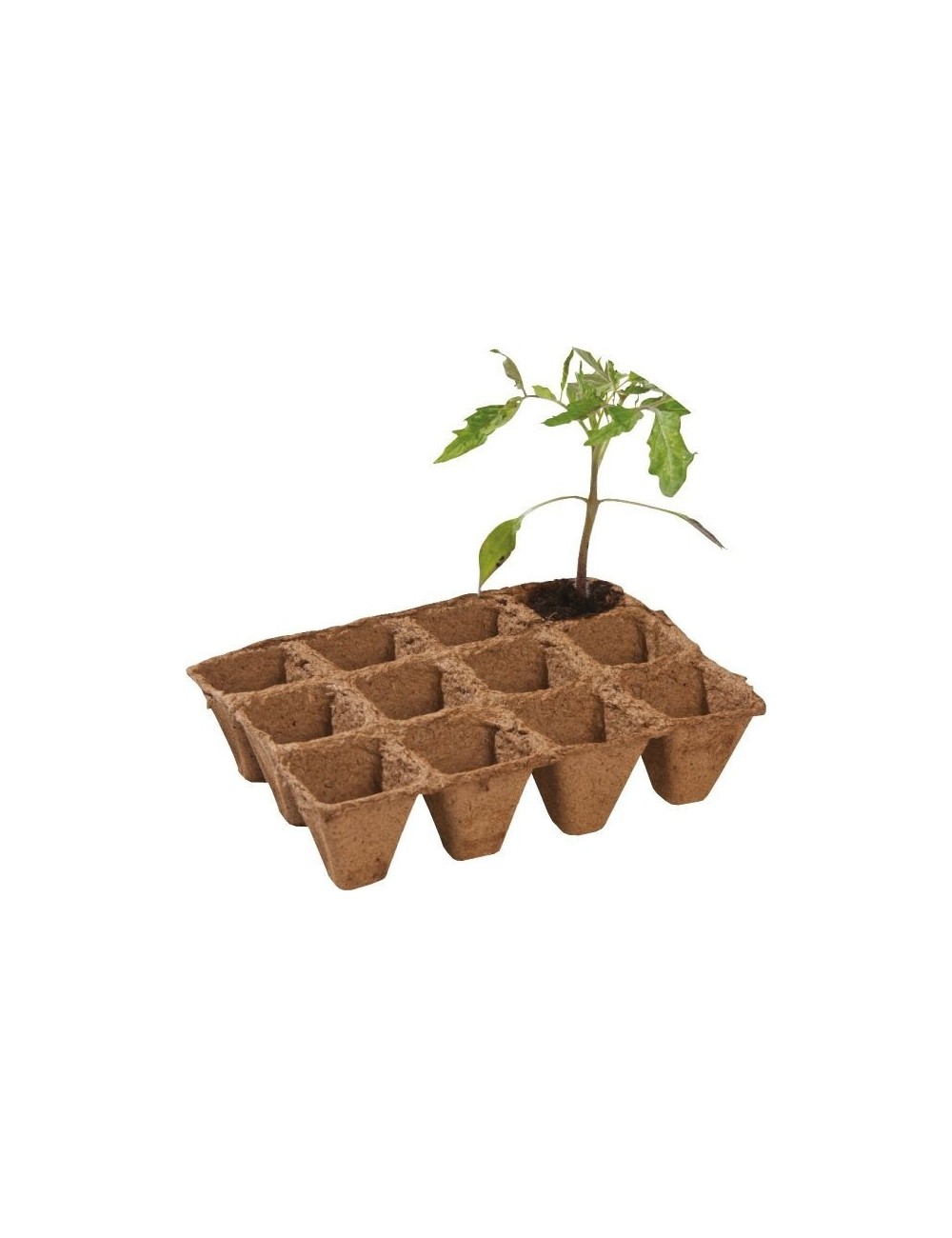 Pack mit 36 biologisch abbaubaren Fasertöpfen 5 cm