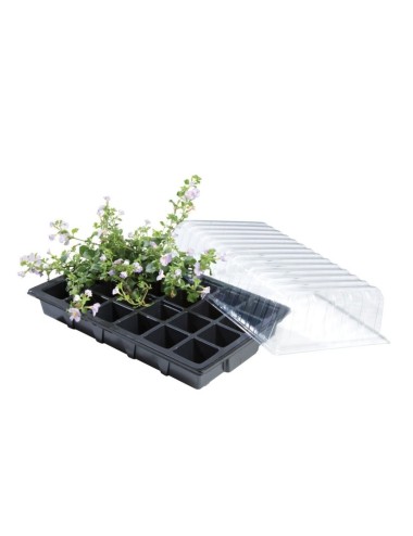 Mini-Gewächshaus-Propagator