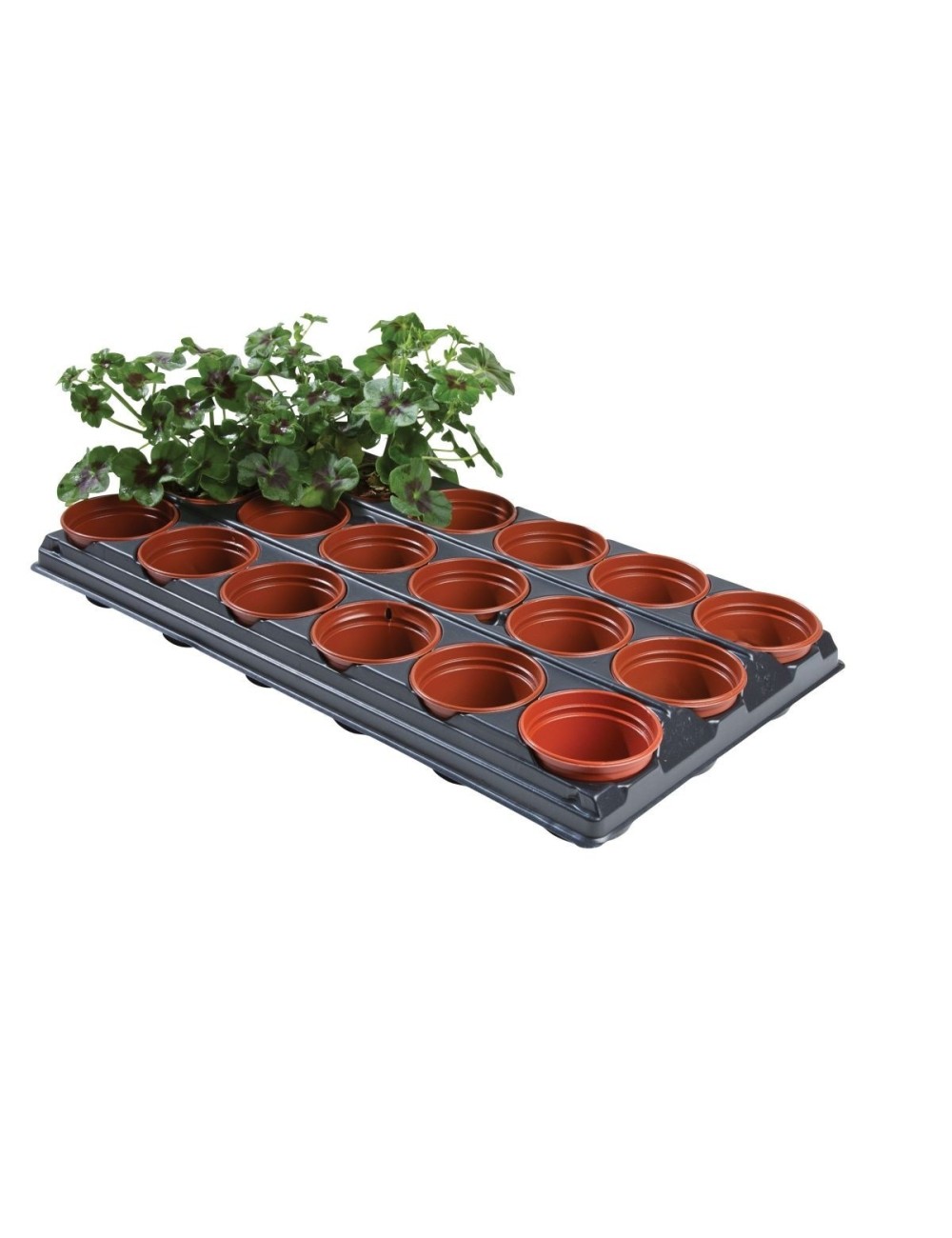 Professionelles Umtopf-Tablett (für Töpfe 18 x 9 cm)