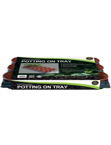 Professionelles Umtopf-Tablett (für Töpfe 18 x 9 cm)