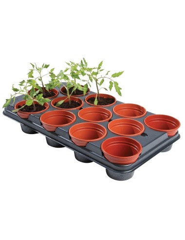 Professionelles Anbautablett (12 Töpfe à 11 cm)