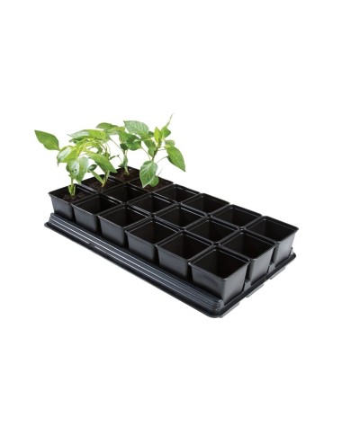 Professionelles Gemüsebeet (quadratische Töpfe 18 x 9 cm)