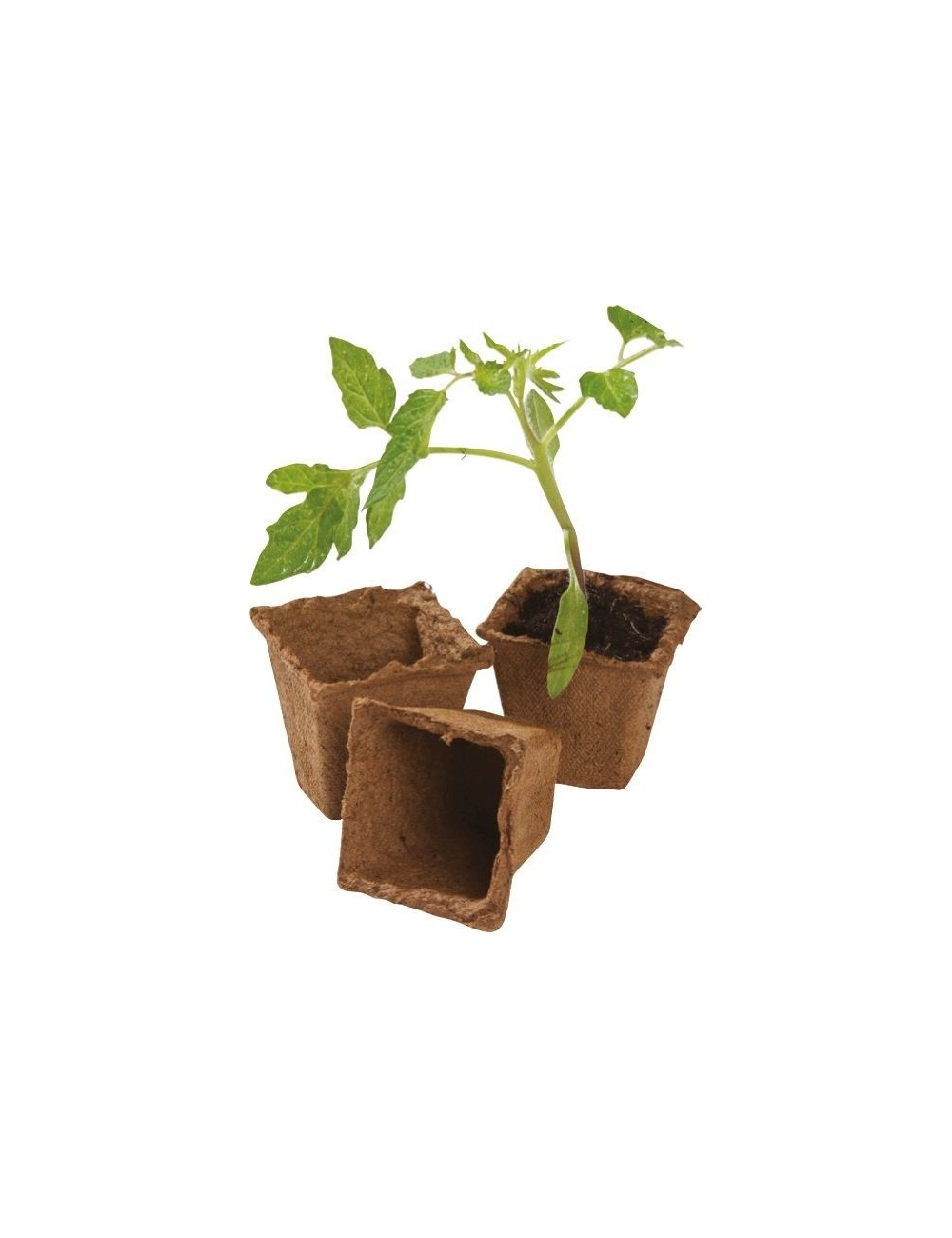 80 quadratische Fasertöpfe 6 cm (Extra-Value-Pack)
