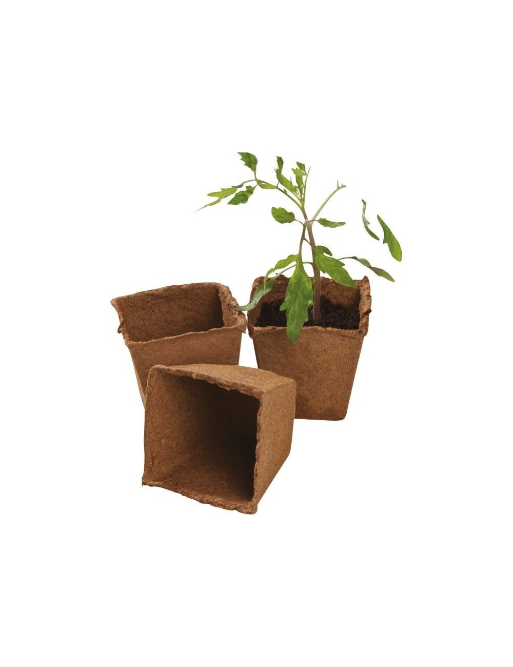 48 quadratische Fasertöpfe, 8 cm (Extra-Value-Pack)