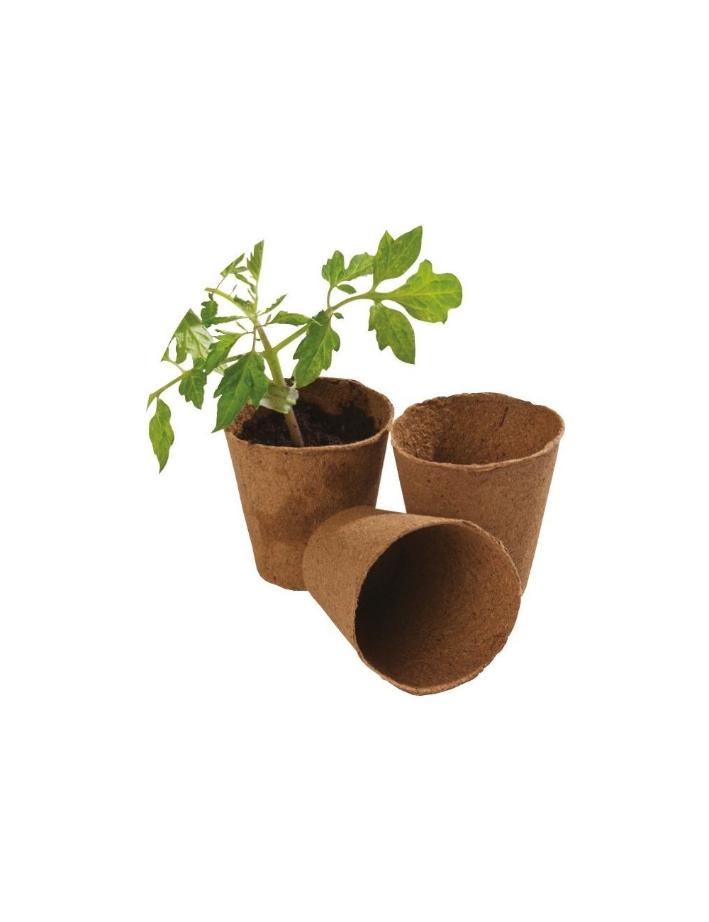 12 runde Fasertöpfe von 8 cm