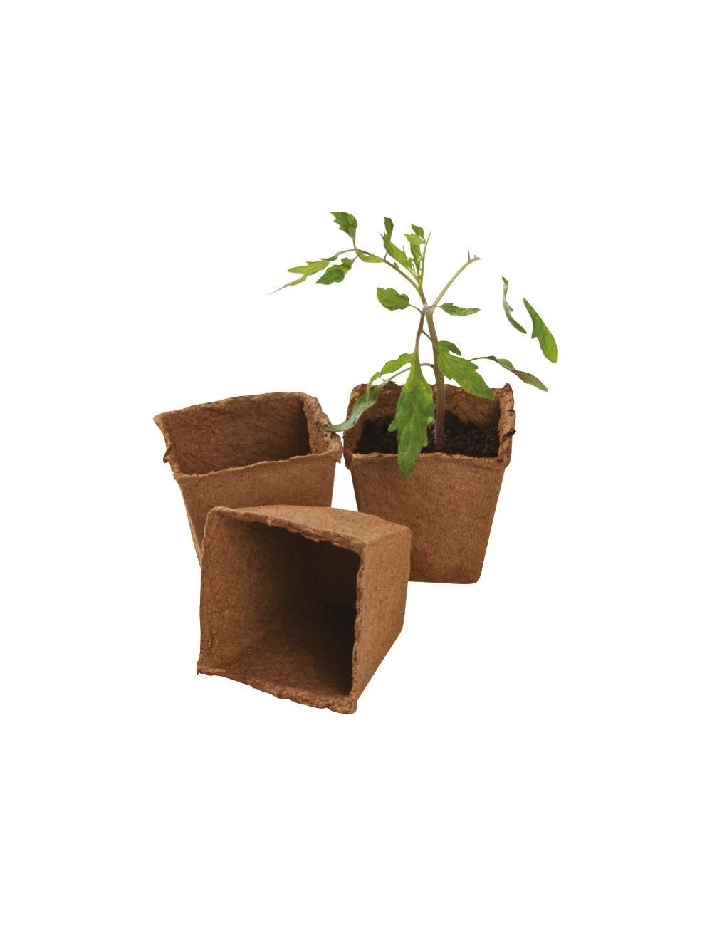 12 quadratische Fasertöpfe, 8 cm