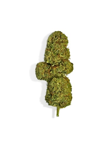 CBD-Blüte - OG DIAMOND