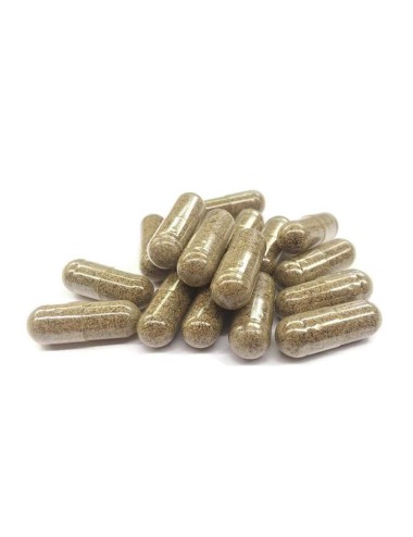CBD-Kapsel & Anti-Stress-Pilze | FUNGO, NOVALOA