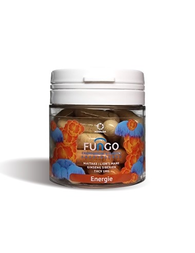 THCV-Kapsel & Energiepilze | FUNGO, NOVALOA