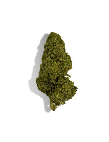 CBD-Blüte - BZ1