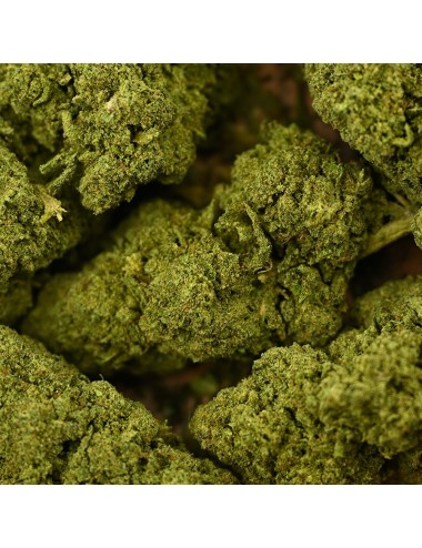 CBD-Blüte - BZ1