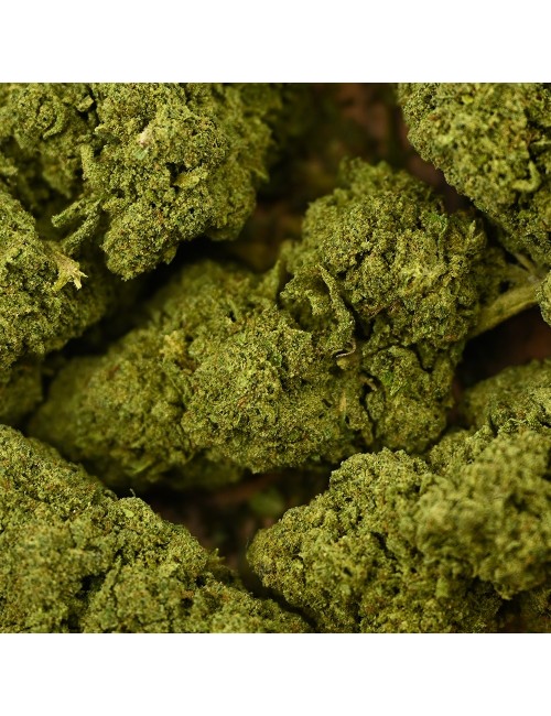 CBD-Blüte - BZ1