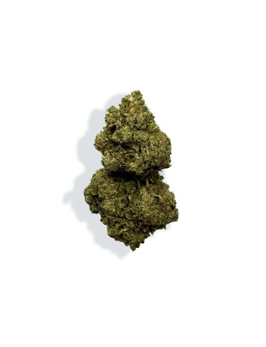 CBD-Blüte - RAINBOW KUSH