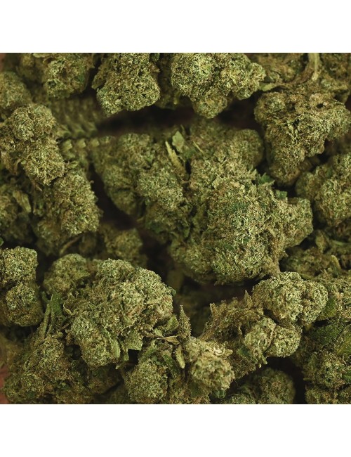 CBD-Blüte - RAINBOW KUSH