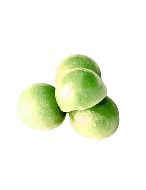 CBD-Bonbon Kaktus Limette | NOVALOA