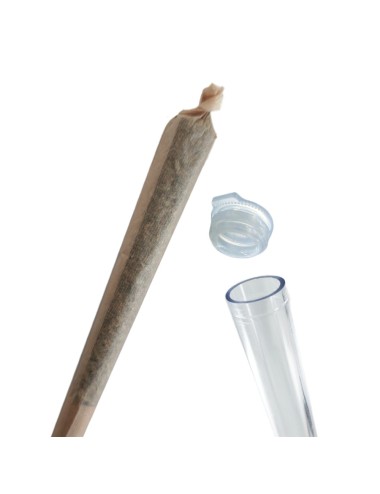 CBD LEMON Infustick