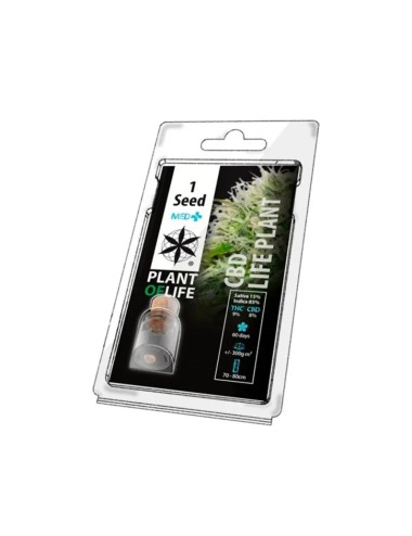 Sammelkorn LIFE PLANT MED+