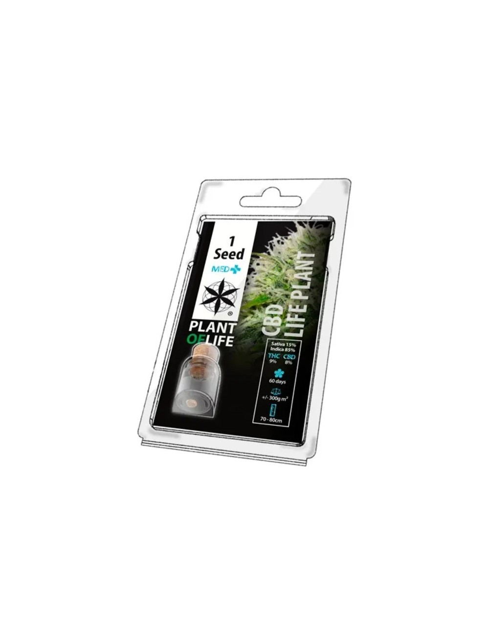 Sammelkorn LIFE PLANT MED+