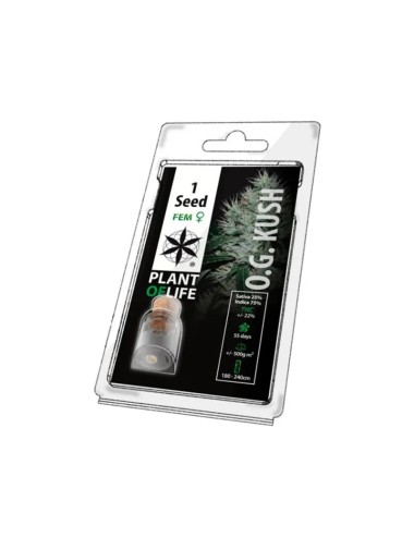 Sammelkorn OG KUSH FEMINISIERT | PLANT OF LIFE