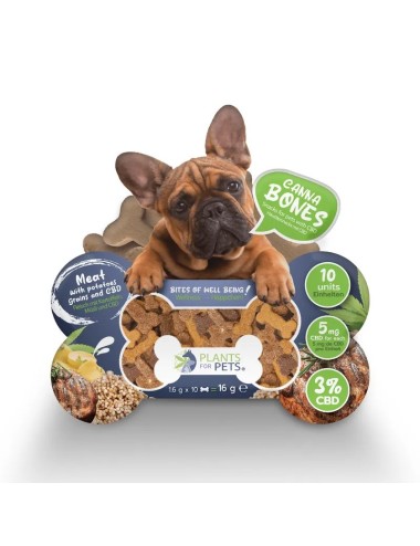 CBD-Leckerei für Hunde | PLANTS FOR PETS