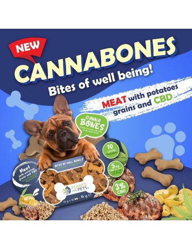 CBD-Leckerei für Hunde | PLANTS FOR PETS