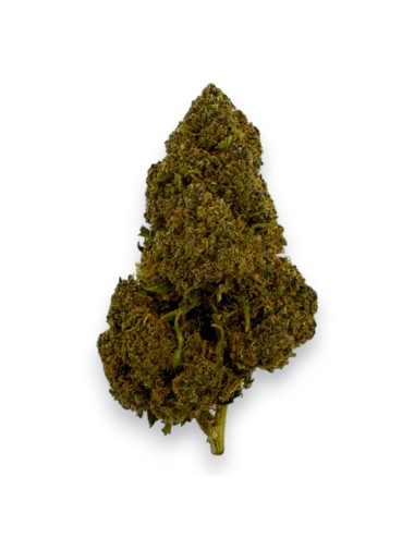 CBD-Blüte - Skittles Indoor