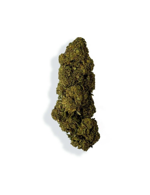 CBD-Blüte - CHARLOTTE'S WEB