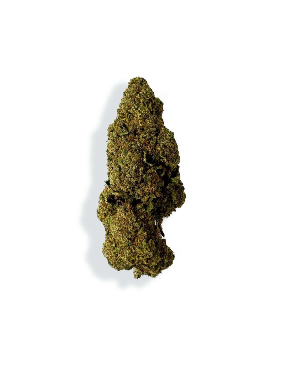 CBD-Blüte - RASPBERRY HAZE