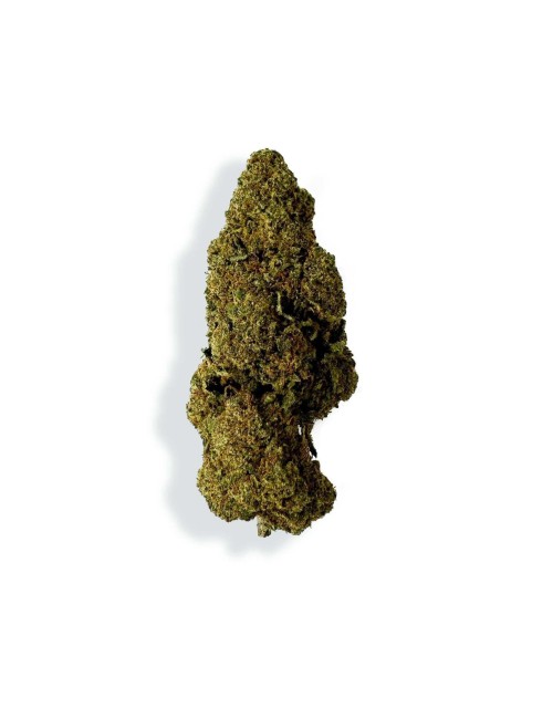 CBD-Blüte - RASPBERRY HAZE