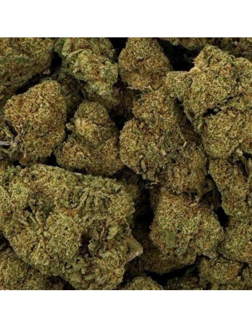 CBD-Blüte - RASPBERRY HAZE