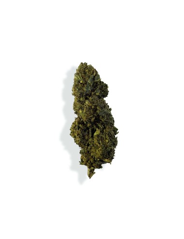 CBN/CBC-Blüte - GELATO