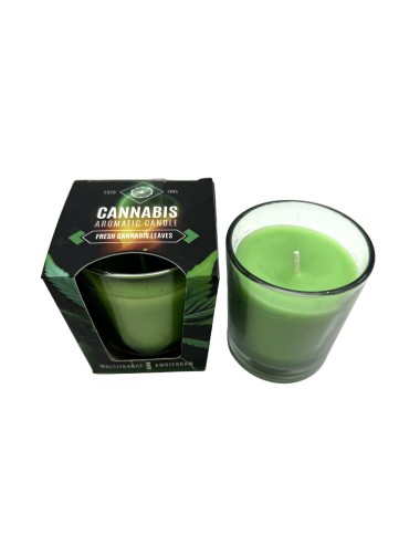 Duftkerze Frische Cannabisblätter | MULTITRANCE