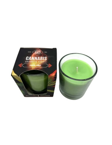 Duftkerze Cannabis Sandelholz | MULTITRANCE
