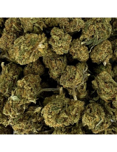 Small Bud Premium Beeren CBD