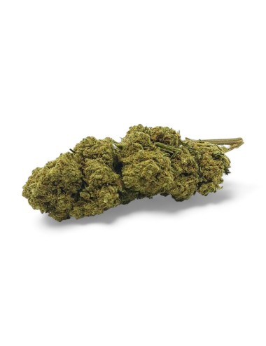 CBD-Blüte Harlequin Indoor Premium