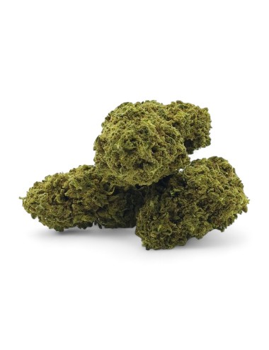 CBD-Blüte Remedy Indoor Premium