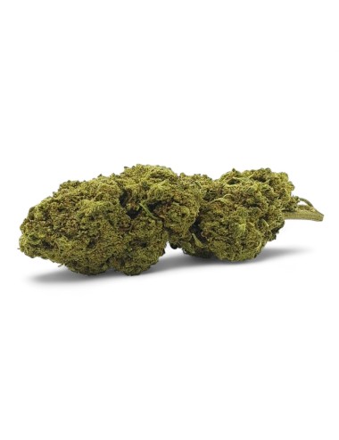 CBD-Blüte Remedy Indoor Premium
