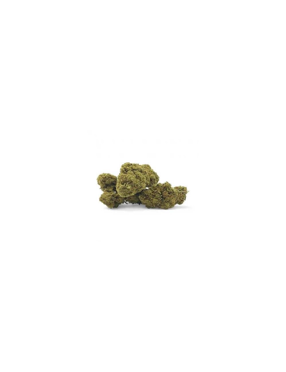 CBD-Blüte San Francisco