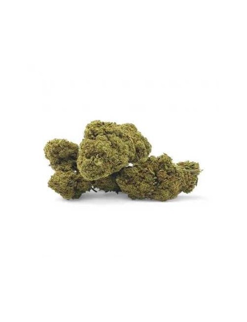 CBD-Blüte San Francisco