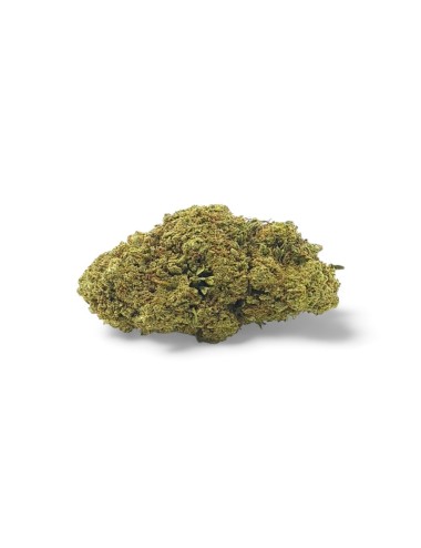 CBD-Blüte San Francisco